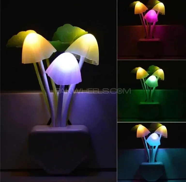 Mashroom Light *Rate 350 contract number 03212221518 Image-1