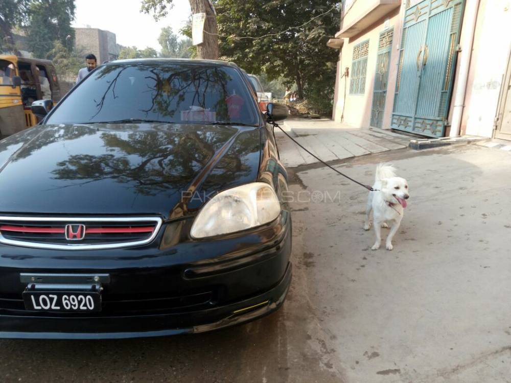 Honda Civic - 1996  Honda Civic - 1996  Image-3