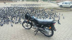 Suzuki GD 110S - 2016