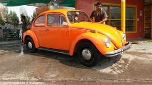 Volkswagen Beetle - 1988