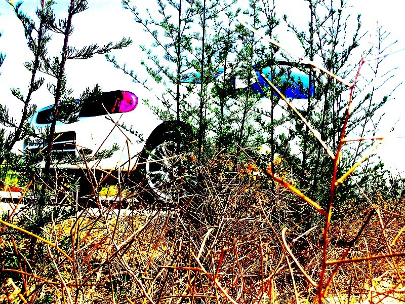 Suzuki Alto - 2008 The Bitch Suzuki Alto - 2008 The Bitch Image-8