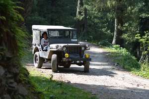 Ford Gpw - 1939