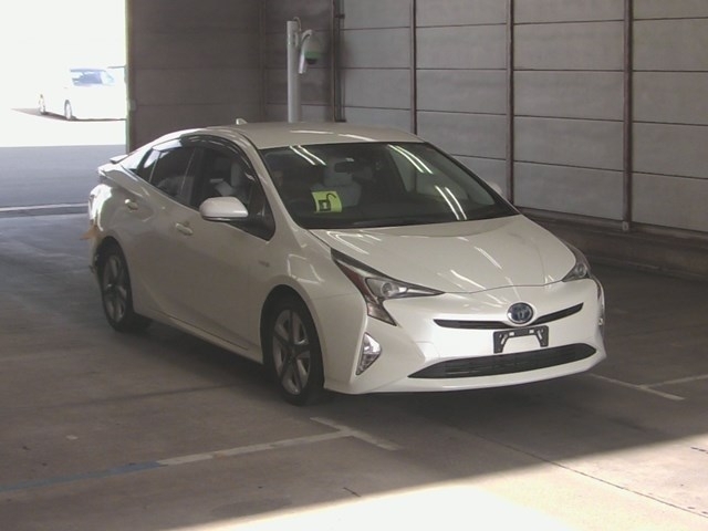  Image-1