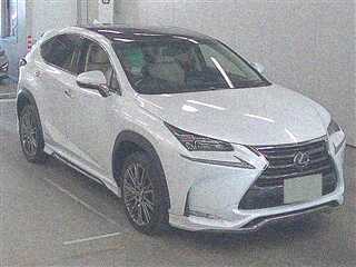  Image-1