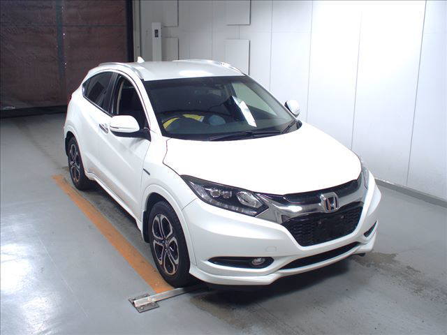 Image-1