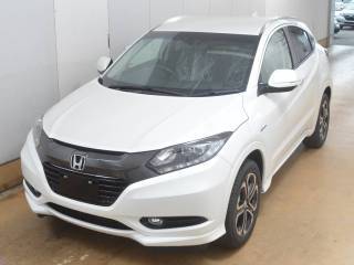  Image-1