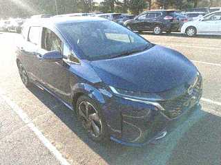  Image-1