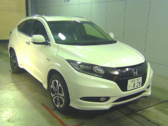  Image-1