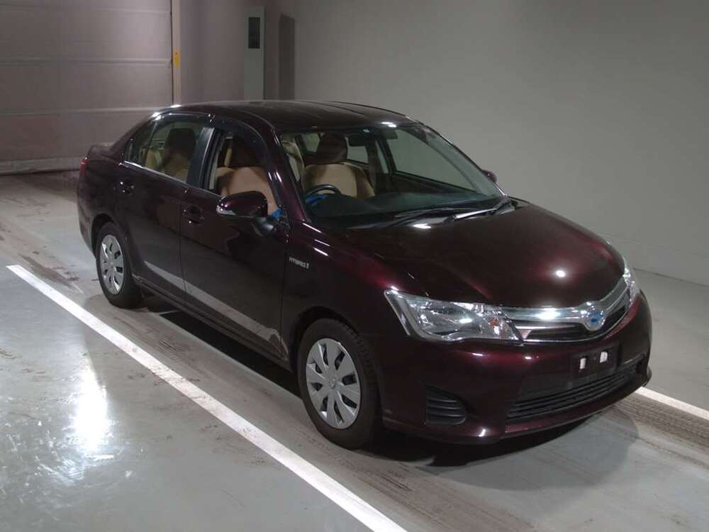  Image-1