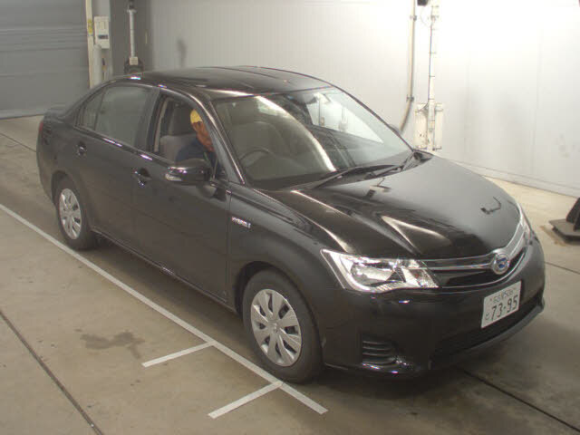  Image-1