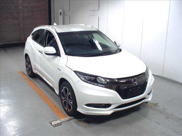  Image-1
