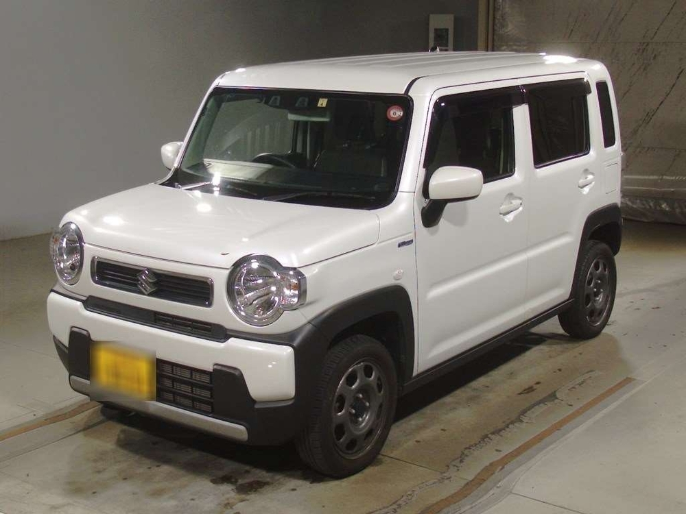  Image-1