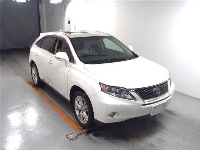  Image-1