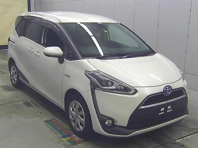  Image-1