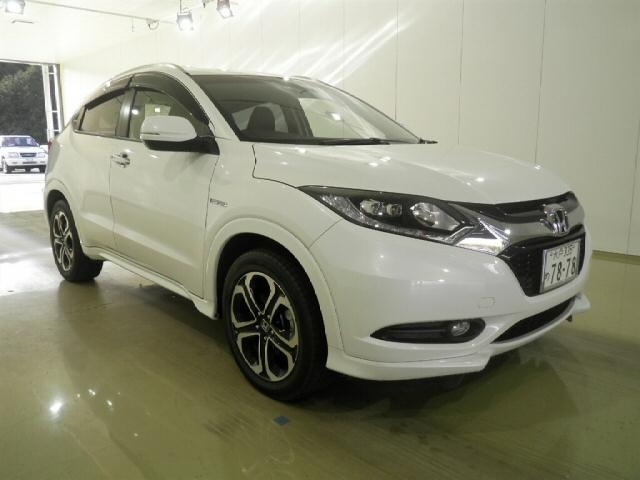  Image-1