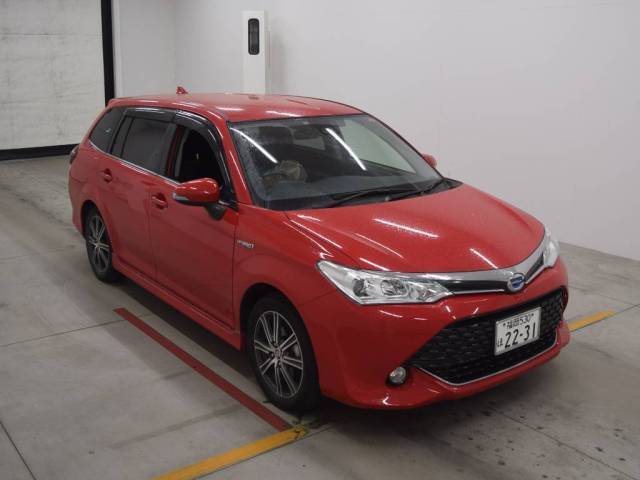  Image-1