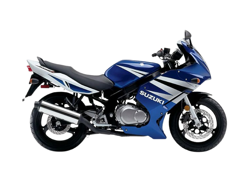 Suzuki GS500E 