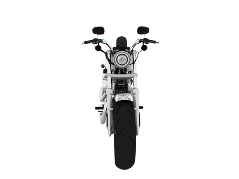 Harley Davidson 1200 Custom 