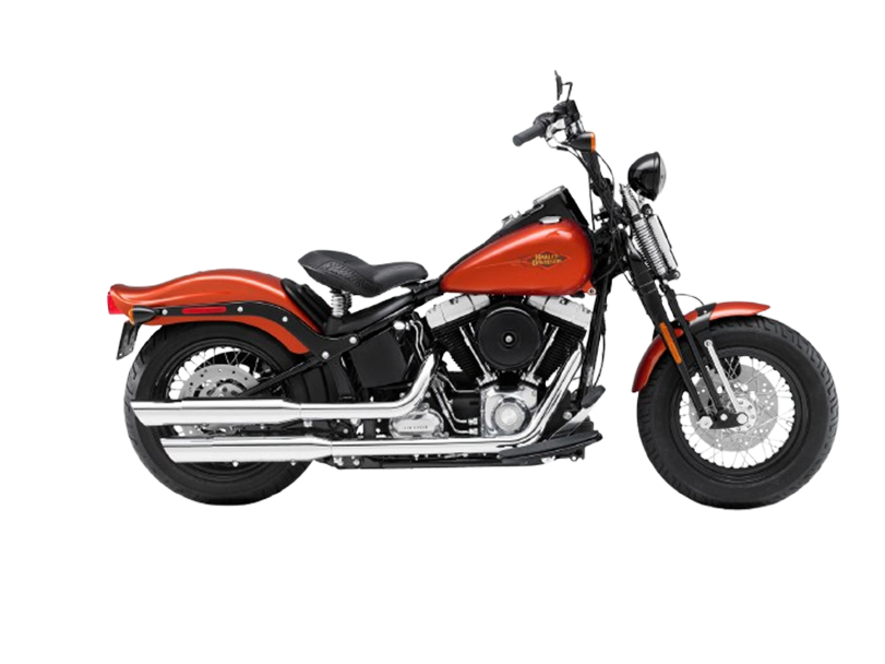 Harley Davidson Cross Bones 