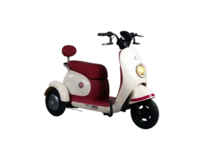 New Road King K9-3Wheeler