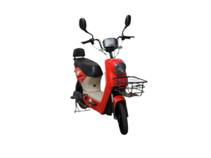 New Road King Paddle-IB